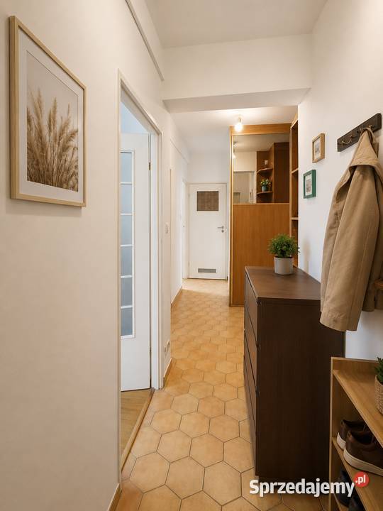 pokoje 635 m balkon piwnica basenu i komunikacji