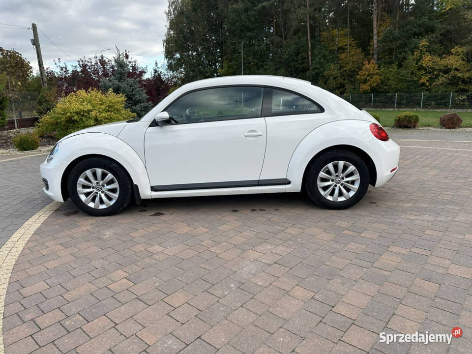 Volkswagen Beetle Lipówki