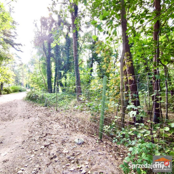 Działka Pobierowo Bukowa 1055m2