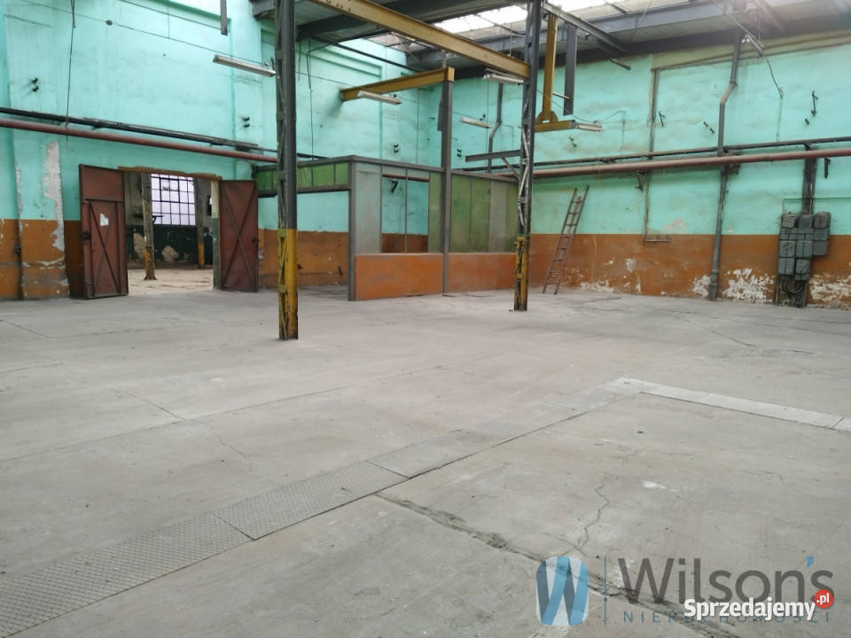 Ogłoszenie lokal Wrocław 825m2