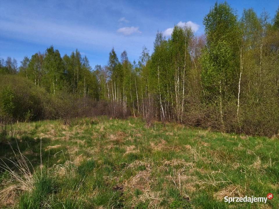 Działka budowlana na mazurache