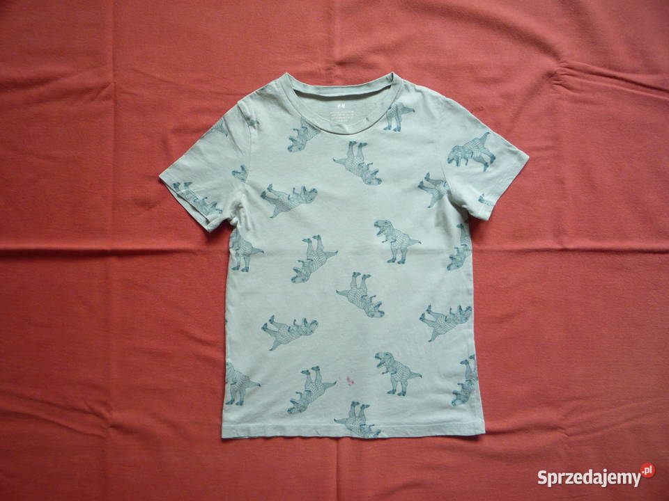 HM r 134 Niebieskozielona Koszulka Dinozaury