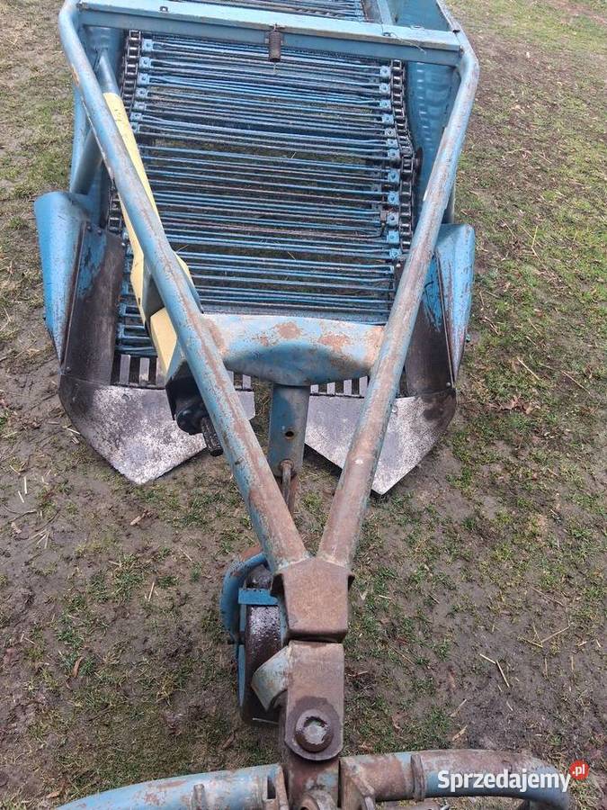 Kopaczka elewatorowa do ziemnkakow 2 rzędowa Kopaczki lubelskie Puławy