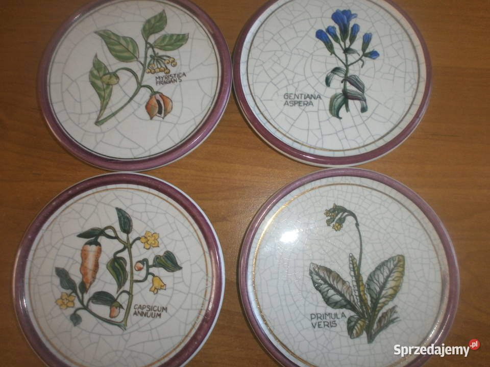 PLANTORGAN porcelana talerzyki 6 sztuk