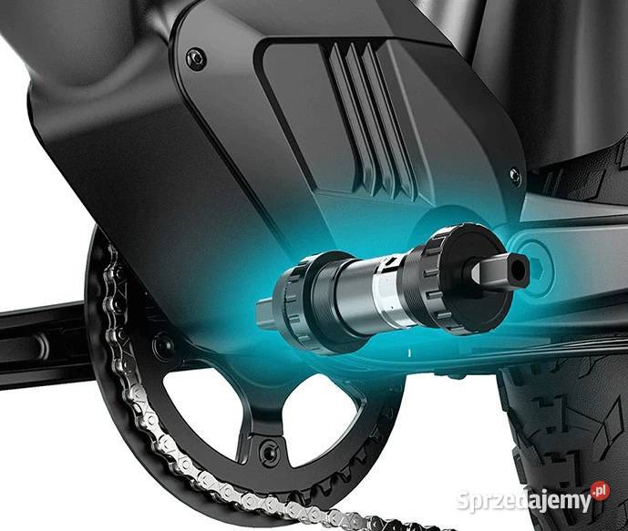 Fiido TITAN 2025 solidny niezastąpiony 55Nm 250W Elektryczne Tarnobrzeg