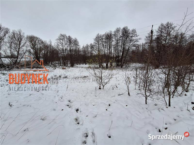 Działka rolna Przystawy 19zł/m2