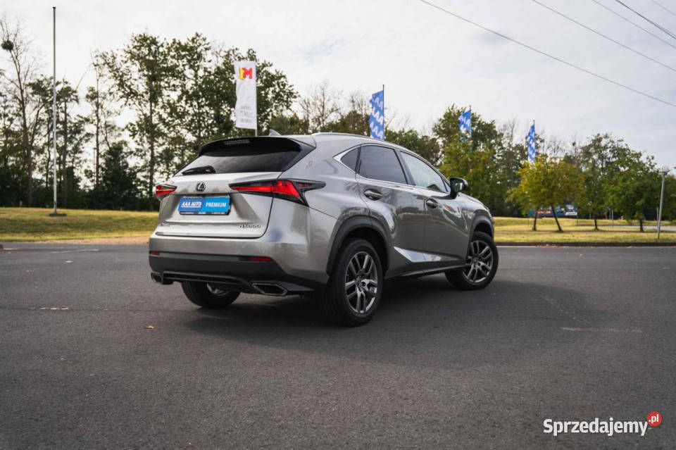Lexus NX 300t światła LED