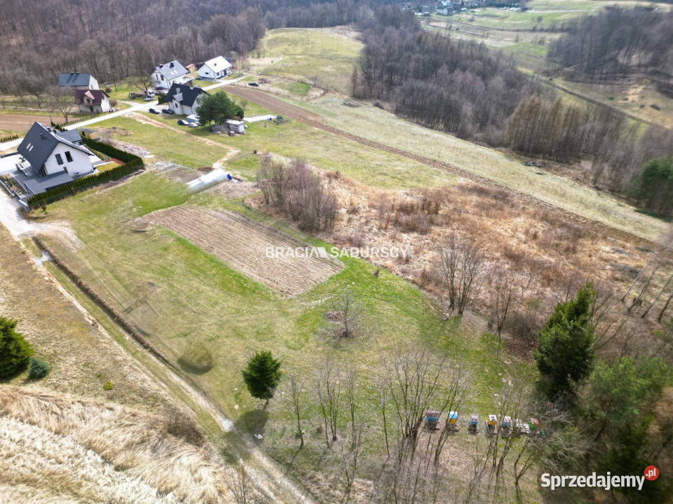 Działka Jerzmanowice Kalwaryjska 2900m2 Sprzedaż