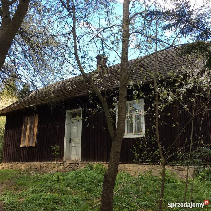 Uroczy dom drewniany w zacisznym miejscu