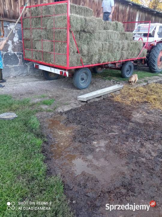 Siano kostka pomorskie Sierakowice sprzedam