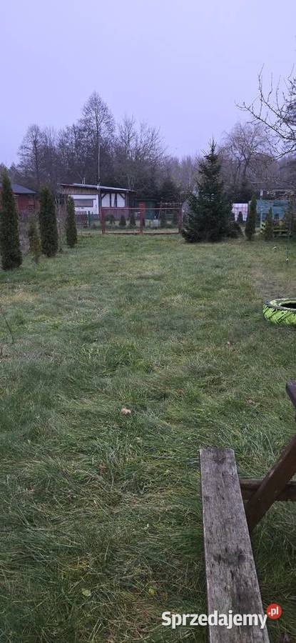 Działka ROD Tulipan Orzysz