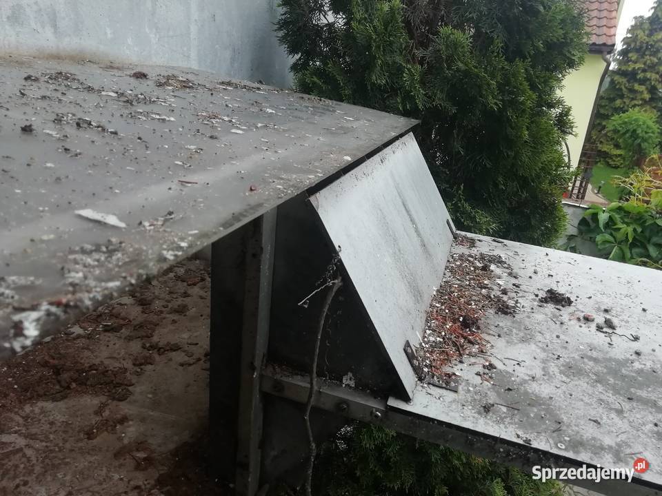 Klapa do gołębnika Lubliniec