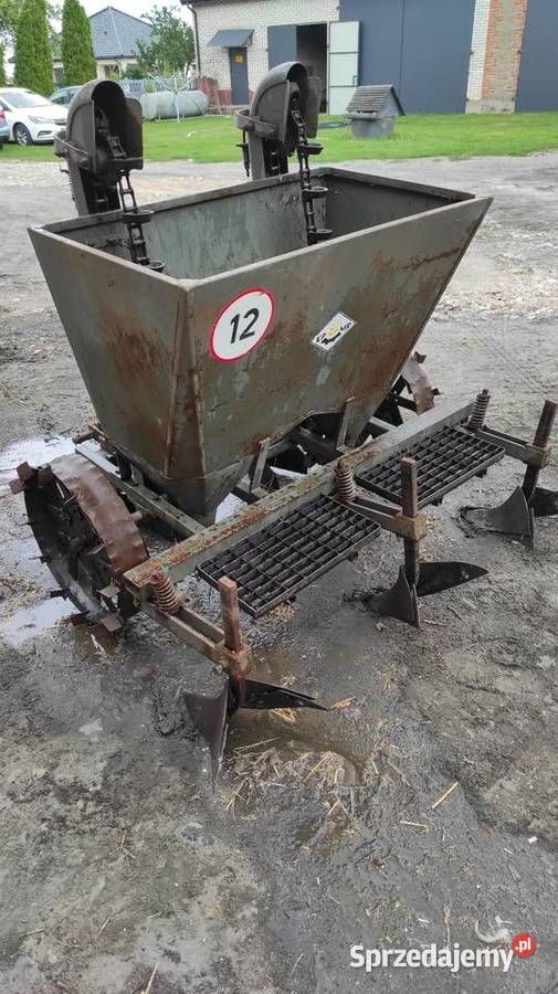 Sadzarka do ziemniaków Groszki