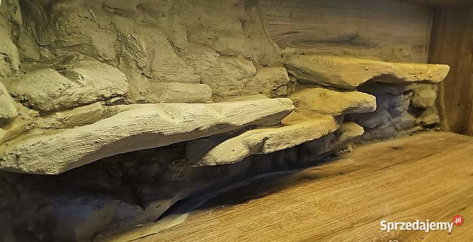 Terraria różne wymiary Chorzów