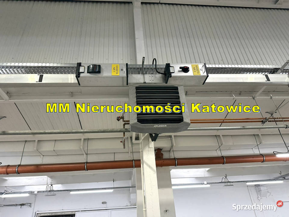 Hala do wynajęcia Katowice suwnica biura socjal parking Wynajem śląskie