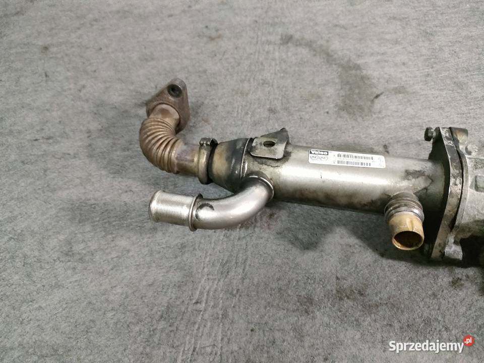 Citroen Peugeot Fiat chłodnica spalin zawór egr Motoryzacja Swarzędz