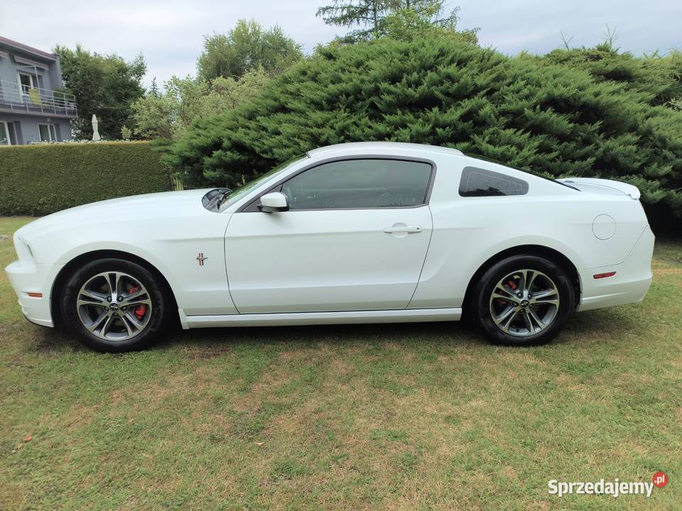 Ford Mustang 37 V6 305 Automat Rocznik 2014 305KM Mustang Łaziska