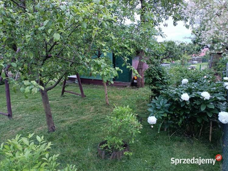 Działka ogrodowa SZAROTKA Ełk