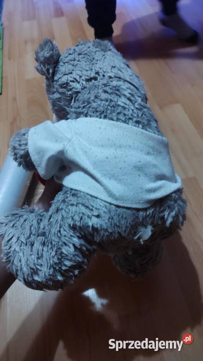 Pluszowa maskotka Miś wielkopolskie Książ Wielkopolski