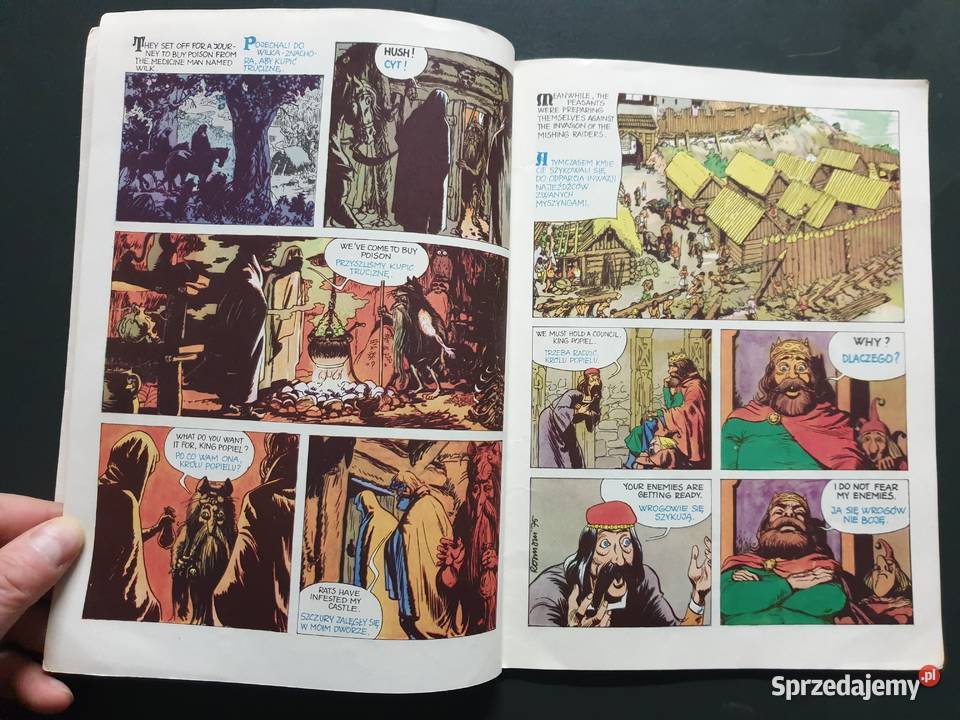 Opowieść o Popielu i Myszach jęz angielski Polskie pomorskie Gdynia