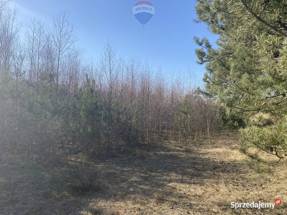 Twój azyl na Kaszubach 60m Sikorzyno