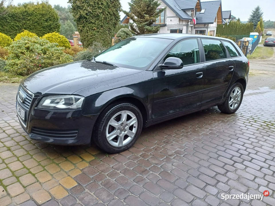 Audi A3 Sportback zadbany stan 8P 20032012 reflektory ksenonowe Łochowo