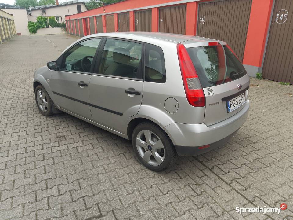 Sprzedam Ford Fiesta 2003 125 garażowany wielkopolskie Gostyń