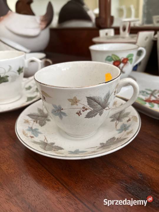 Filiżanka Ridgway Staffordshire White Mist Gdańsk