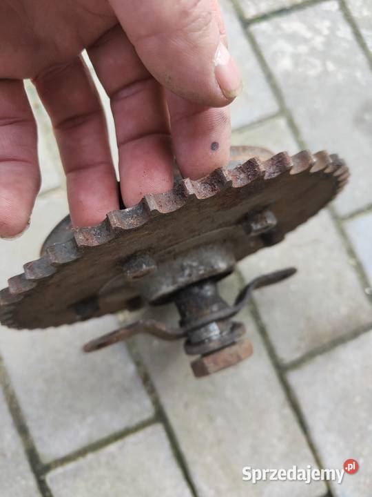 Zabierak SHL m 11 Gorzów Wielkopolski