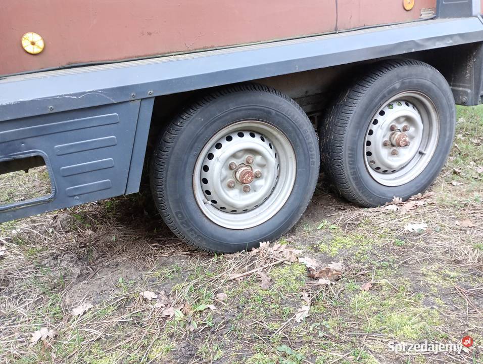 Przyczepa do przewozu koni Skoki