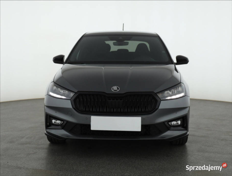 Skoda Fabia 10 TSI