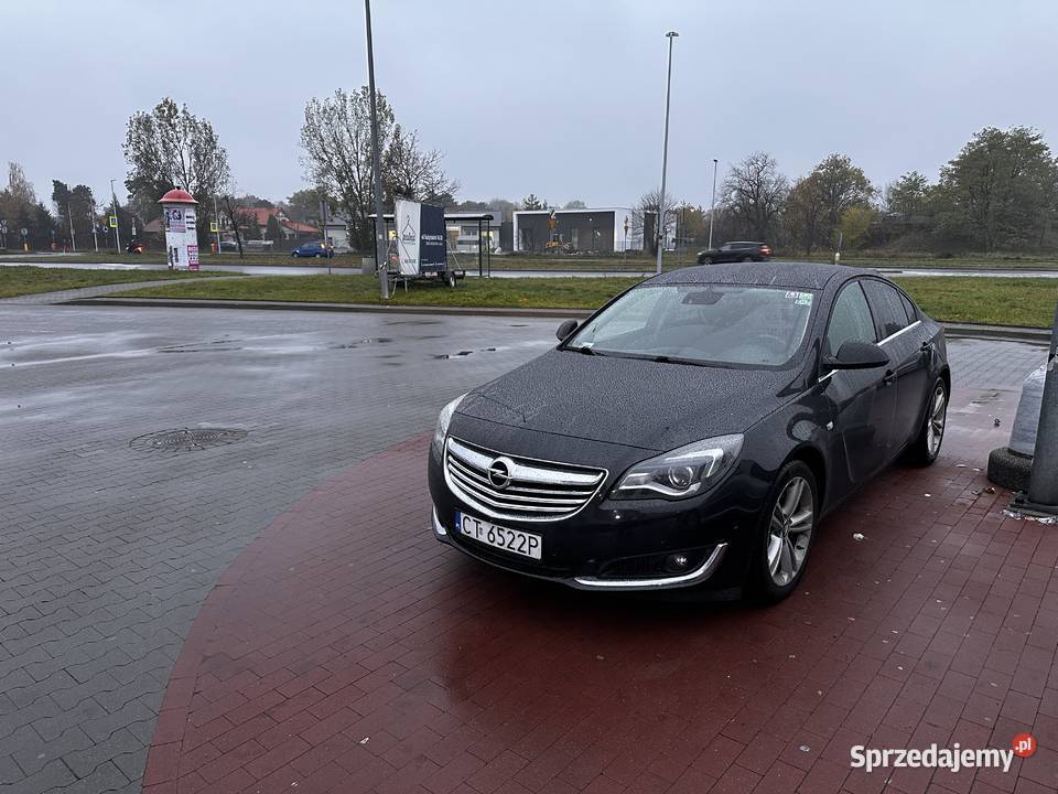 Opel Insignia politowa wersja Toruń