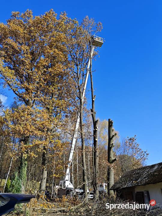 USŁUGI Zwyżka Podnośnik koszowy 20m i 32 m Pozostałe usługi Puławy