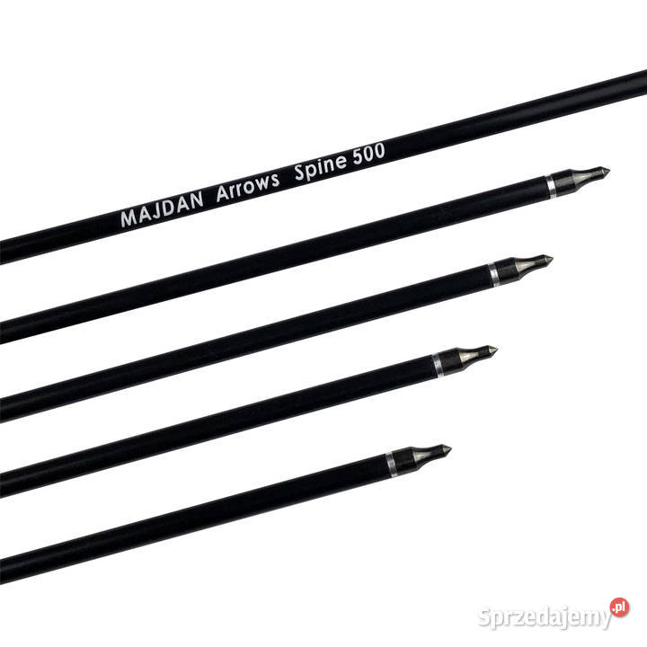 Strzały do łuku wykręcane groty strzała 10 sztuk Nowy Sącz