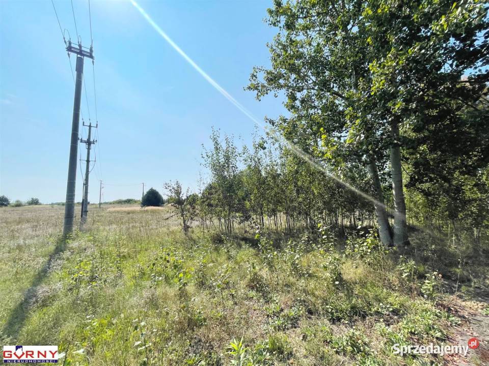 Działka 9871m2 Sulejów 130m łódzkie