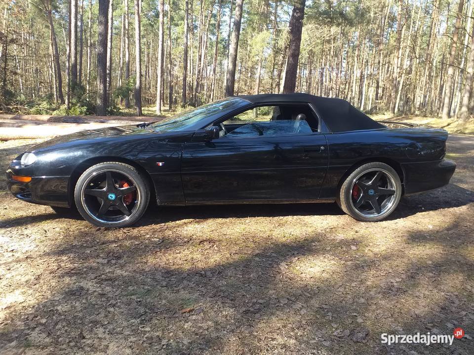 Chevrolet Camaro Cabrio Camaro Strzałkowo