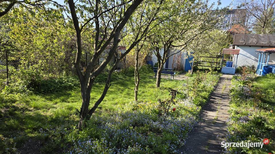 Katowice działka rod rodzinne ogródki działkowe rekreacyjna