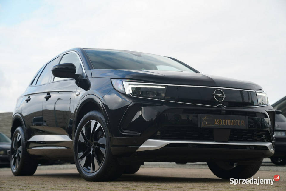 Opel Grandland X FUL LED skóra NAWI kamera blis automatyczna Otmuchów