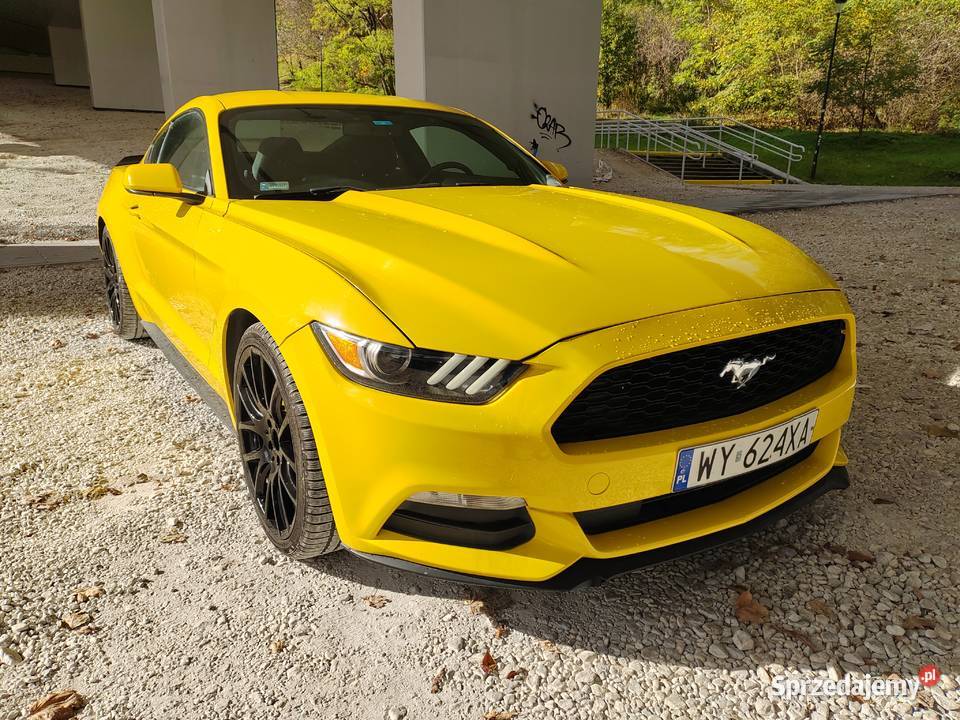 Ford mustang 37 Warszawa