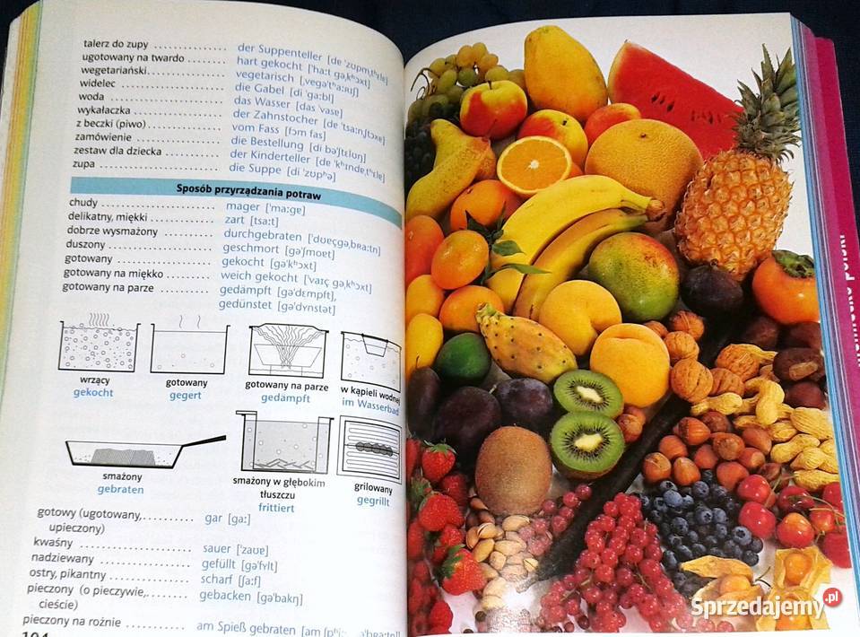 Rozmówki ilustrowane niemieckie PONS William Chełm