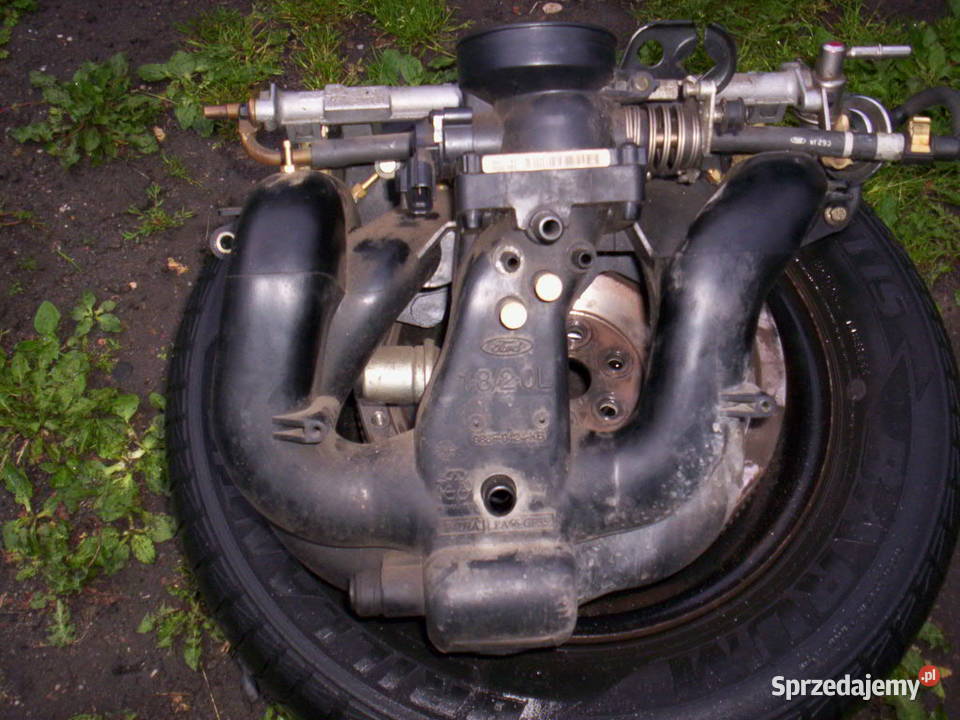 FORD FOCUS MK1 Kolektor ssący 18 16V 20 16V z Pozostałe śląskie Częstochowa