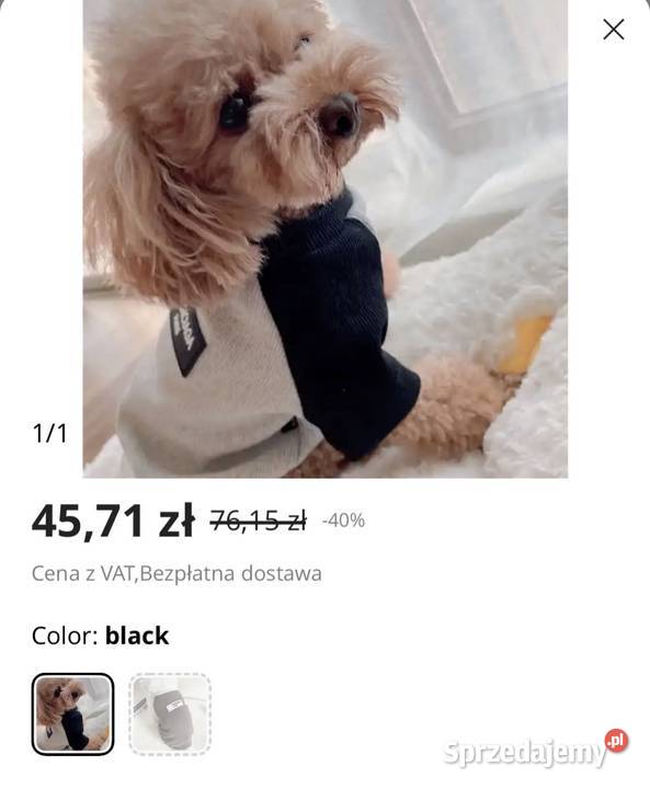 Nowa bluza ubranko psa Balenciaga L3XL Dla psów mazowieckie Warszawa