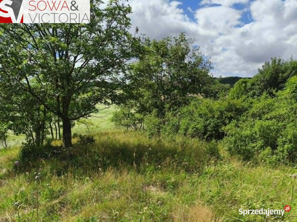 Działka rolna z dojazdem Sprzedaż Stare Bogaczowice