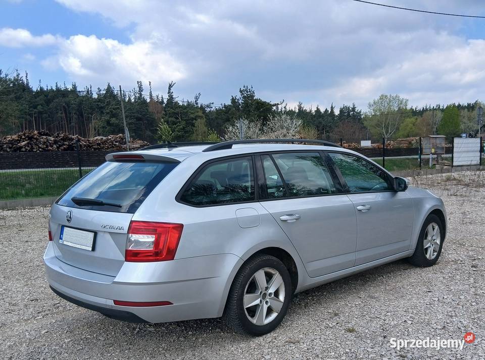 Skoda Octavia z 2019r 20 TDI 150 świętokrzyskie Busko-Zdrój sprzedam
