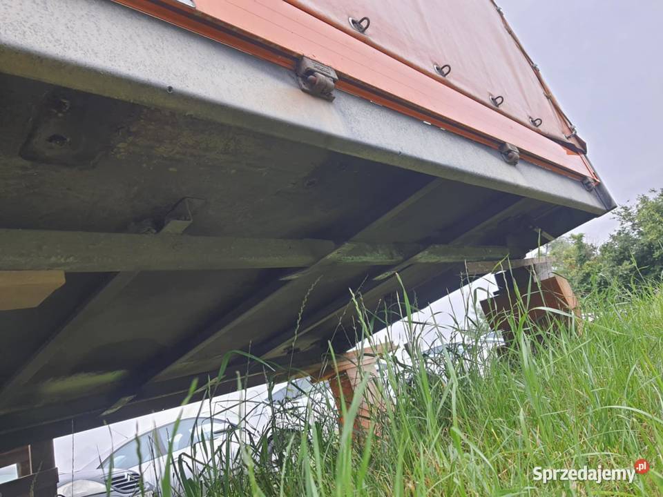 Zabudowa Specjalny Gotowa do montażu Koguty Pleszew