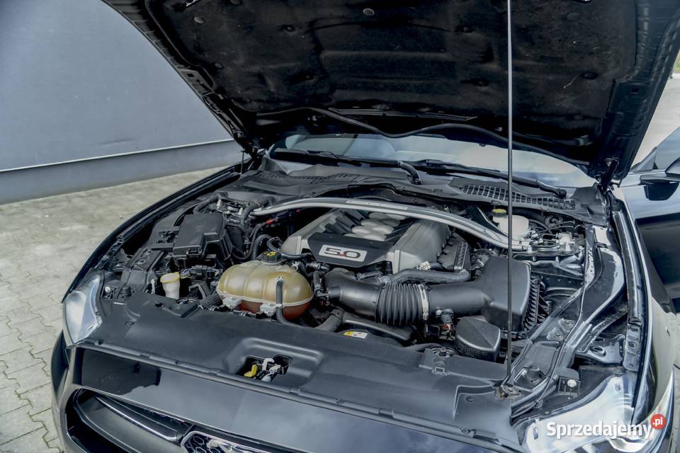Ford Mustang GT 2015 Premium Performance Pack wielkopolskie Koło sprzedam