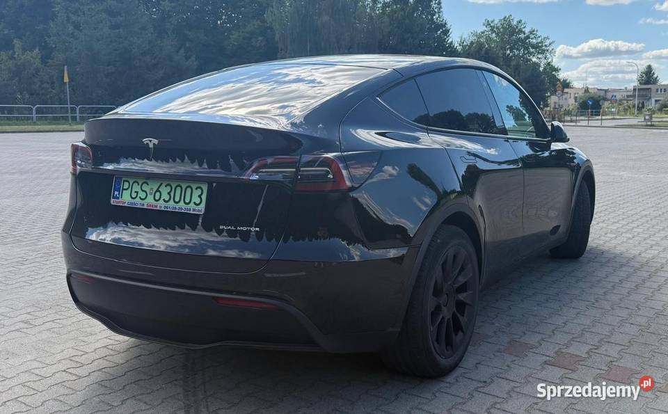 Tesla Y Long Range wersja europejska FV 23 Borek Wielkopolski