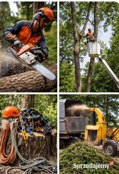 Wycinka drzew Karczowanie działekUsuwanie Żarki