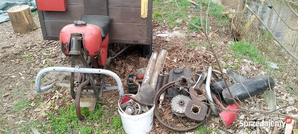 wsk 125 dzik rama Międzychód