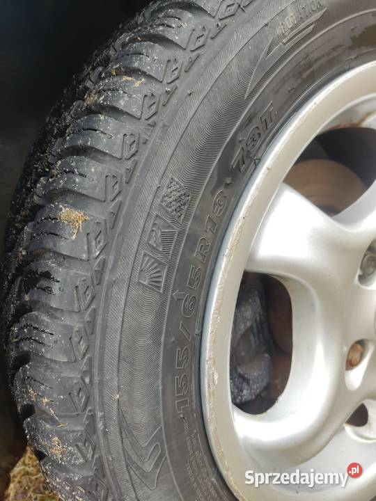 enzo cup 13 cult 126pcorsaunotrabi Gorzów Wielkopolski sprzedam